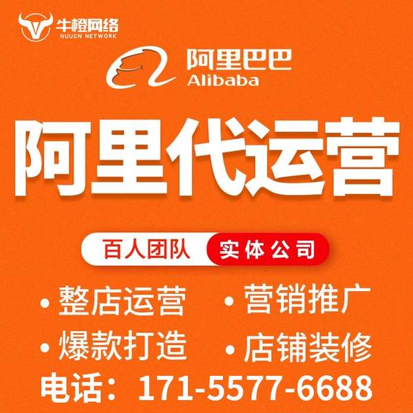 驻马店电商代运营