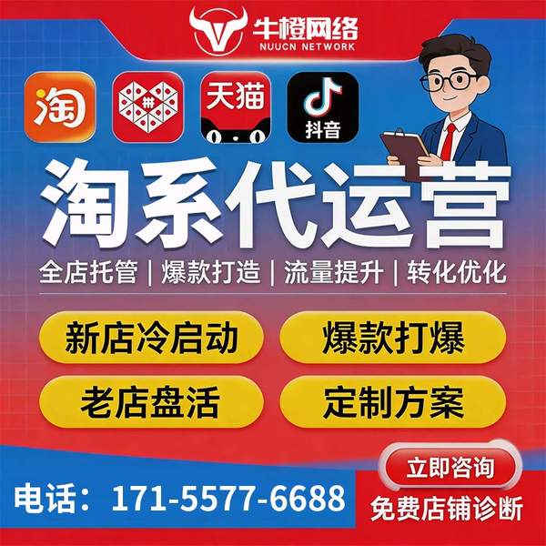 驻马店电商代运营