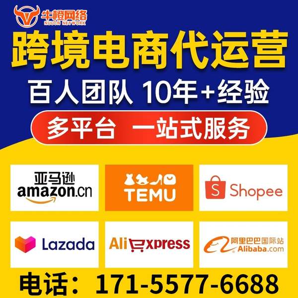 驻马店电商代运营