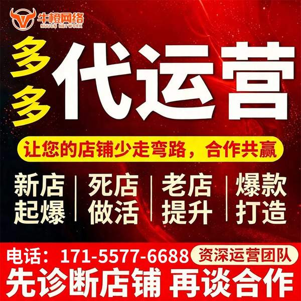 驻马店电商代运营