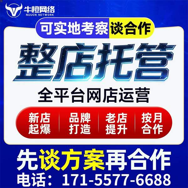 驻马店电商代运营