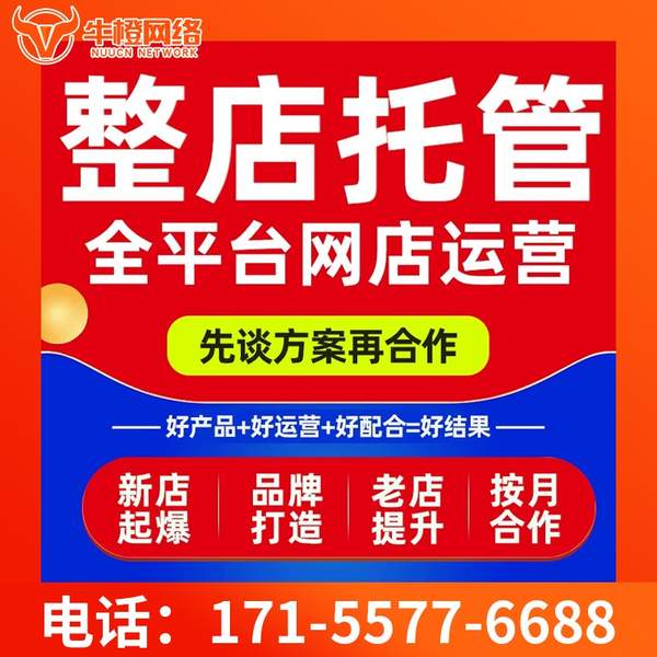 驻马店电商代运营