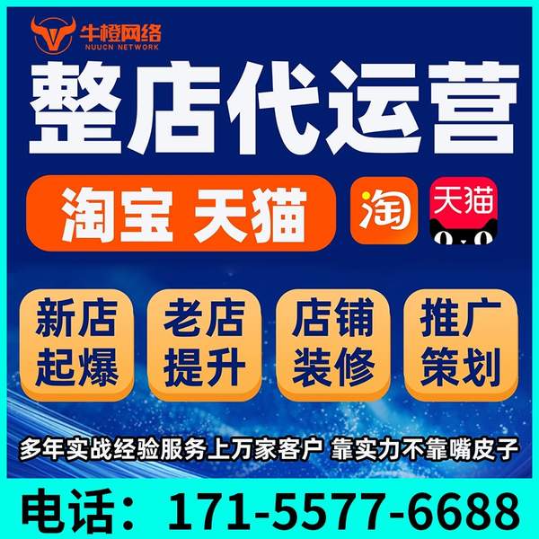 驻马店电商代运营