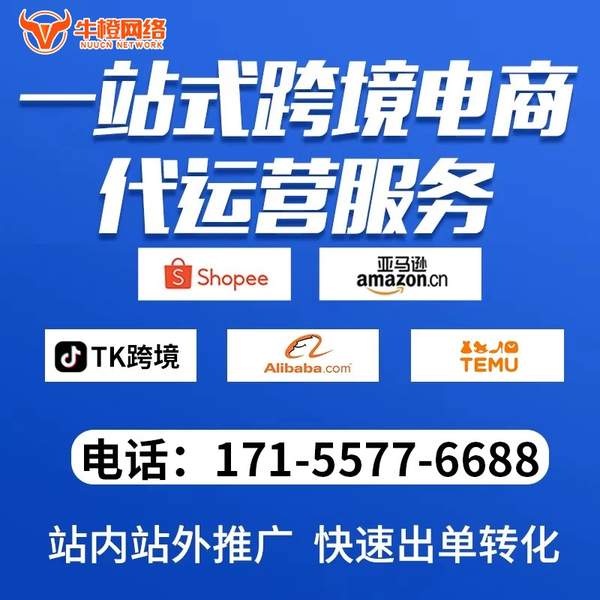 驻马店电商代运营