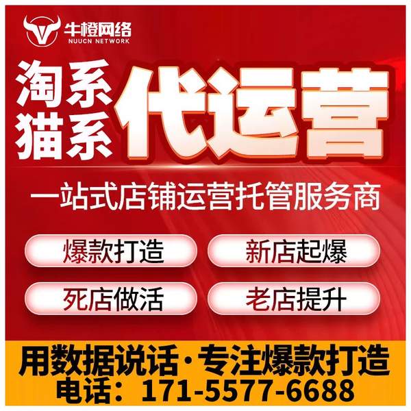 驻马店电商代运营